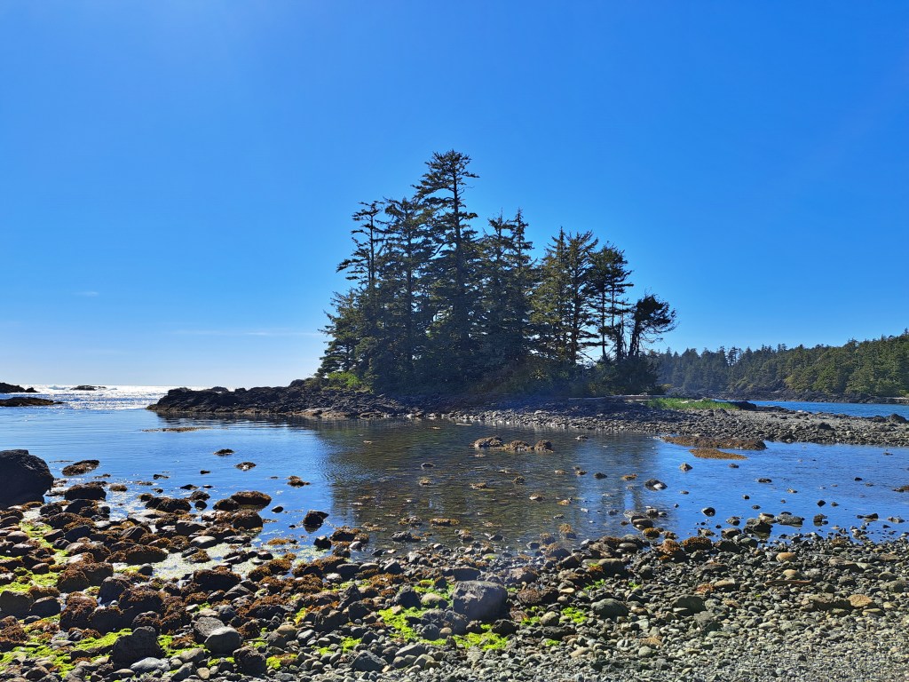 Van Life in&nbsp;Ucluelet