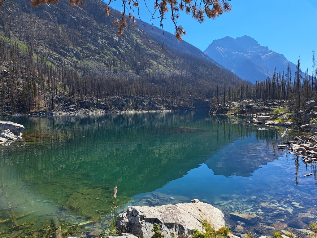 Summer at Sunwapta&nbsp;Falls